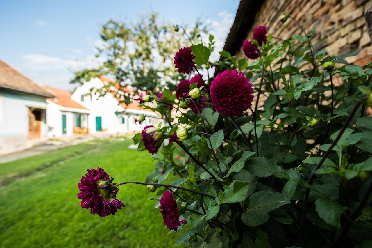 Cloasterf Haus Bed & Breakfast Bagian luar foto